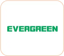 логотип evergreen