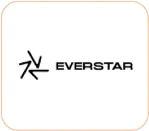 логотип everstar